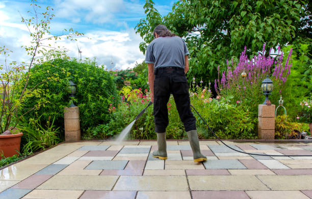 Best Fence Cleaning  in Wellington, OH